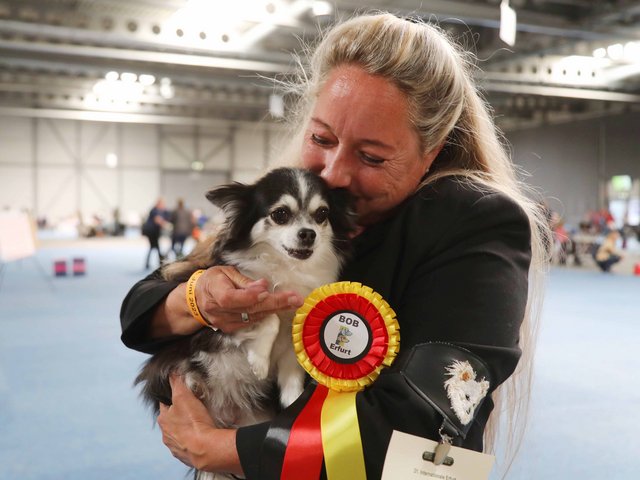 Frau mit Rassehund zur Rassehunde-Ausstellung 2023