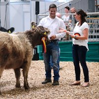 Siegerehrung Galloway Rind Tierschau Messe Erfurt Grüne Tage Thüringen