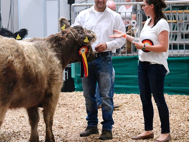 Siegerehrung Galloway Rind Tierschau Messe Erfurt Grüne Tage Thüringen