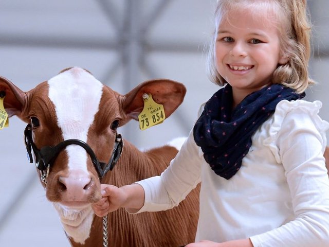 Grüne Tage Thüringen 2022, Messe Erfurt, Mädchen mit Kalb